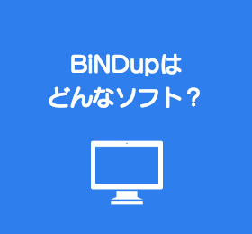 BiNDupについて