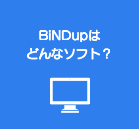 BiNDについて